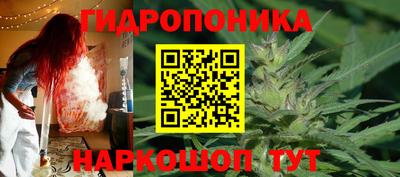 бошки Гай