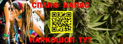 бошки Гай