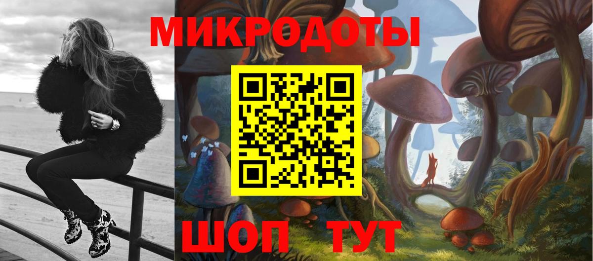 Галлюциногенные грибы прущие грибы  Вход с VPN  Губаха 