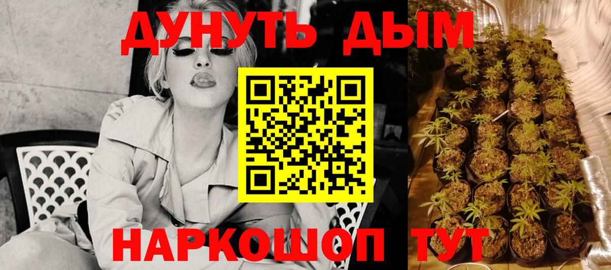 Канабис семена Губаха